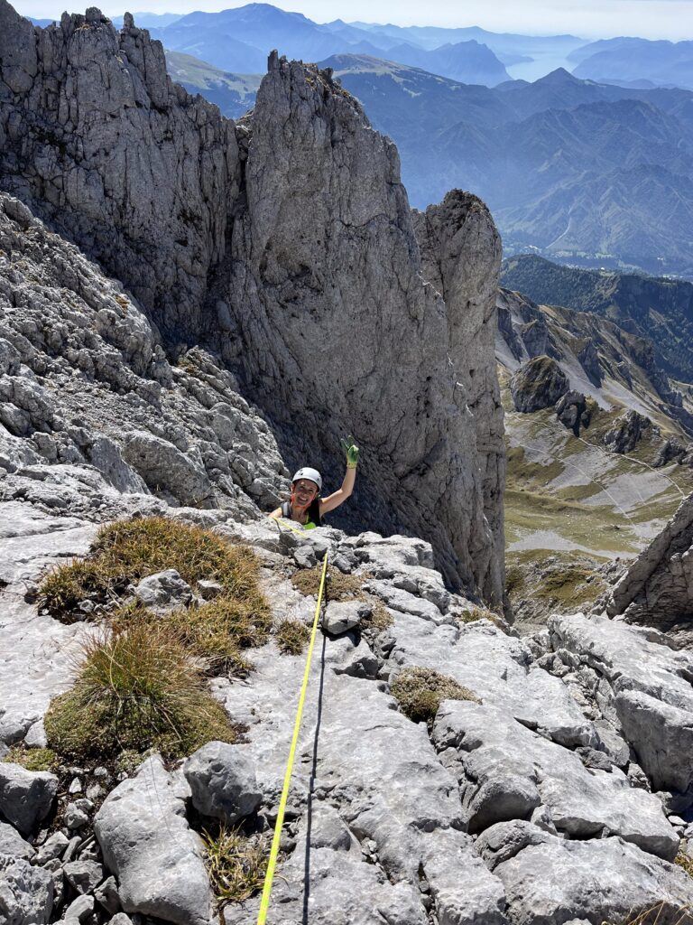 Cane alpinista